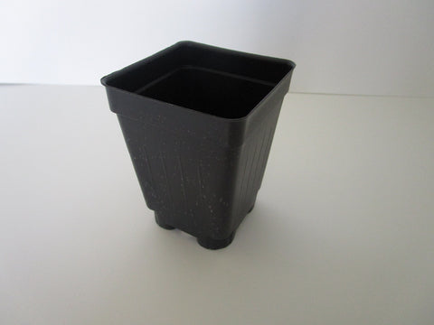 Landmark Plastics 2.5 inch square extra-deep nursery pot side view, supports root growth