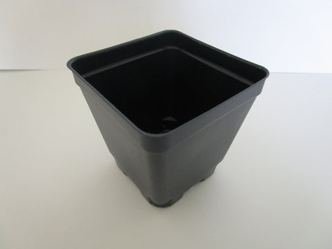 Landmark Plastics 3-5 inch square transplant pots offer sturdy, light starter homes.