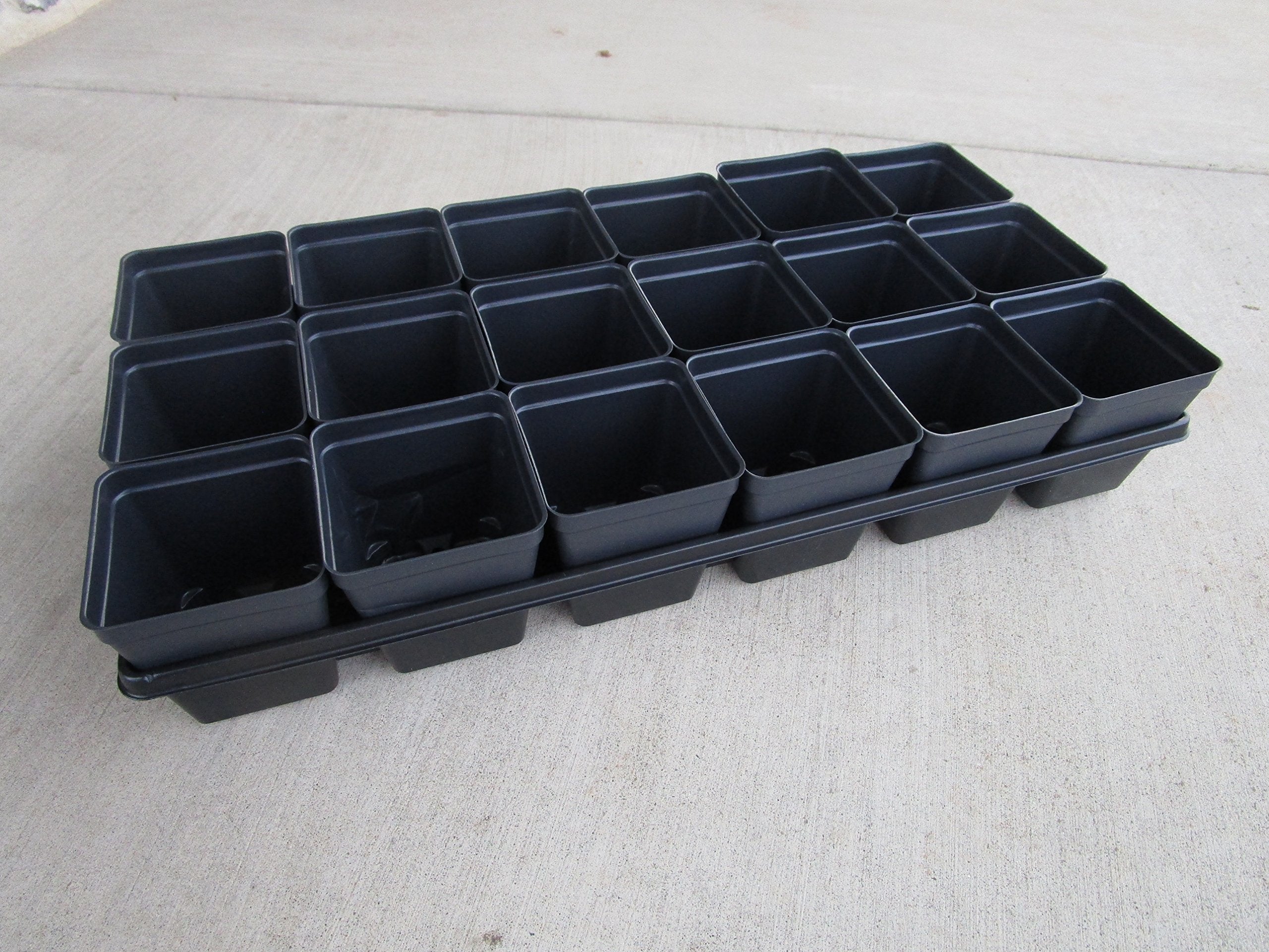 Landmark Plastics divided carrying trays with drainage holes for organized transplanting.