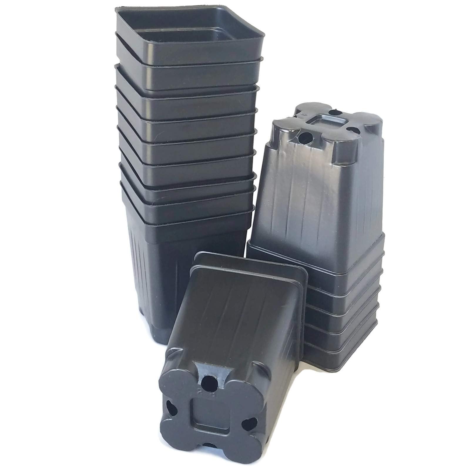 Landmark Plastics 2.5-inch square extra-deep nursery pot top view for seed starting