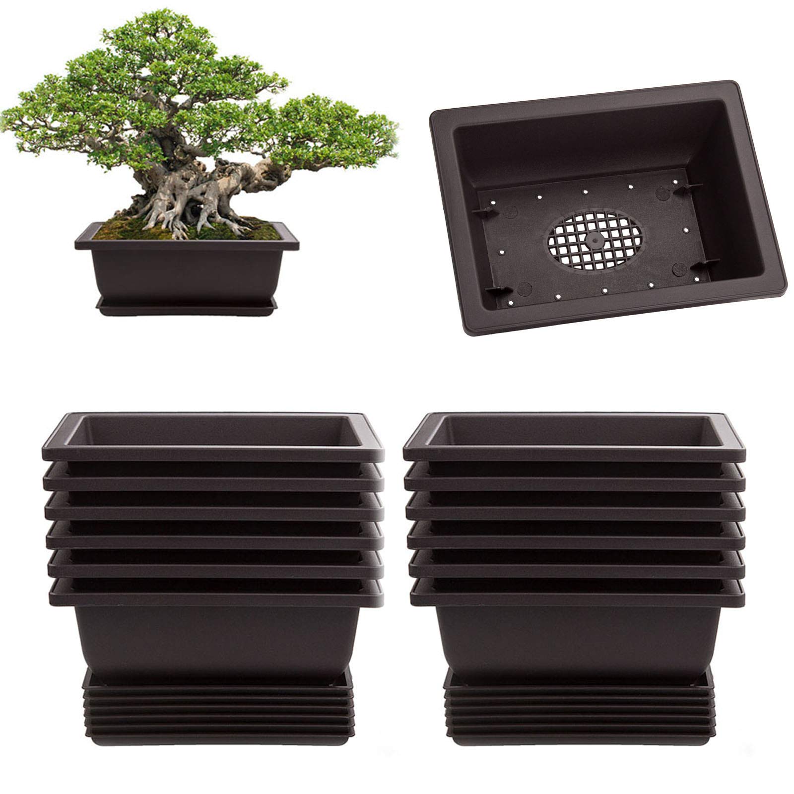 LANIAKEA bonsai pot rectangle 6.5 inch with tray, ideal for seedling growth and neat drainage.