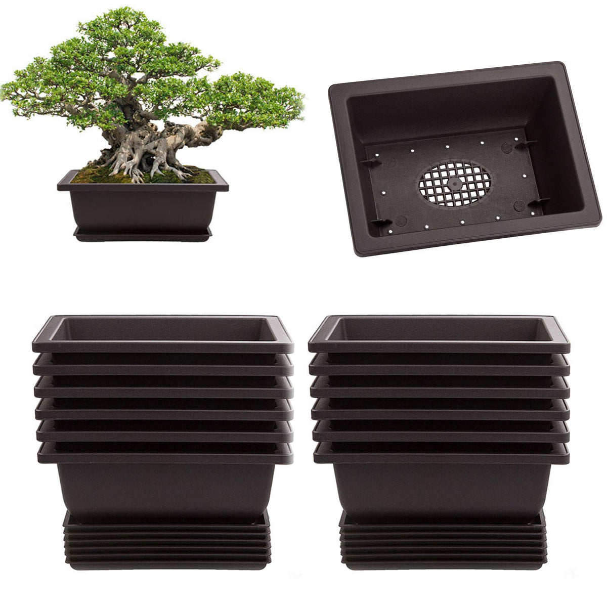 LANIAKEA bonsai pot rectangle 6.5 inch with tray, ideal for seedling growth and neat drainage.
