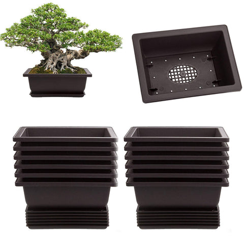 LANIAKEA bonsai pot rectangle 6.5 inch with tray, ideal for seedling growth and neat drainage.