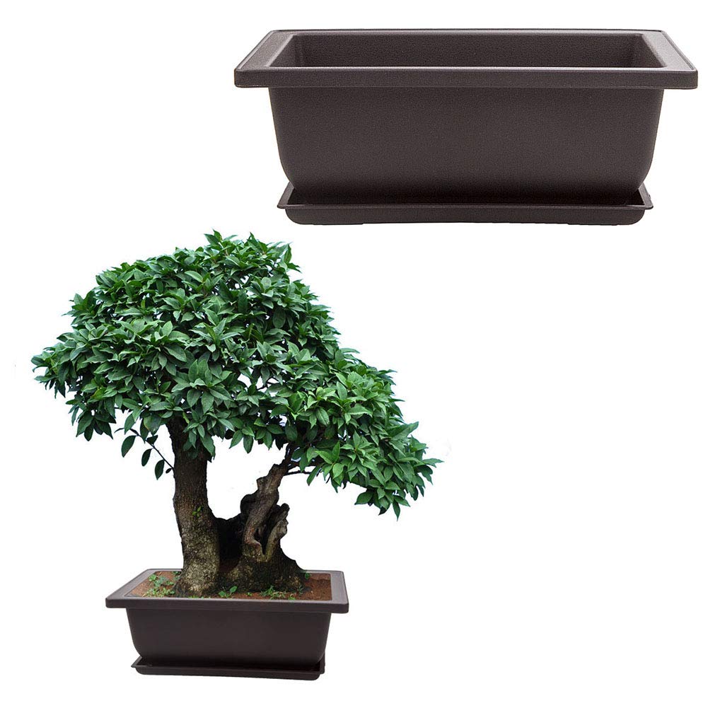LANIAKEA bonsai pot renewable plastic material, durable, eco-friendly choice for long-lasting use.