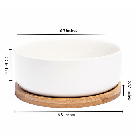 LANKER ceramic pot with drainage-friendly design for plant health.