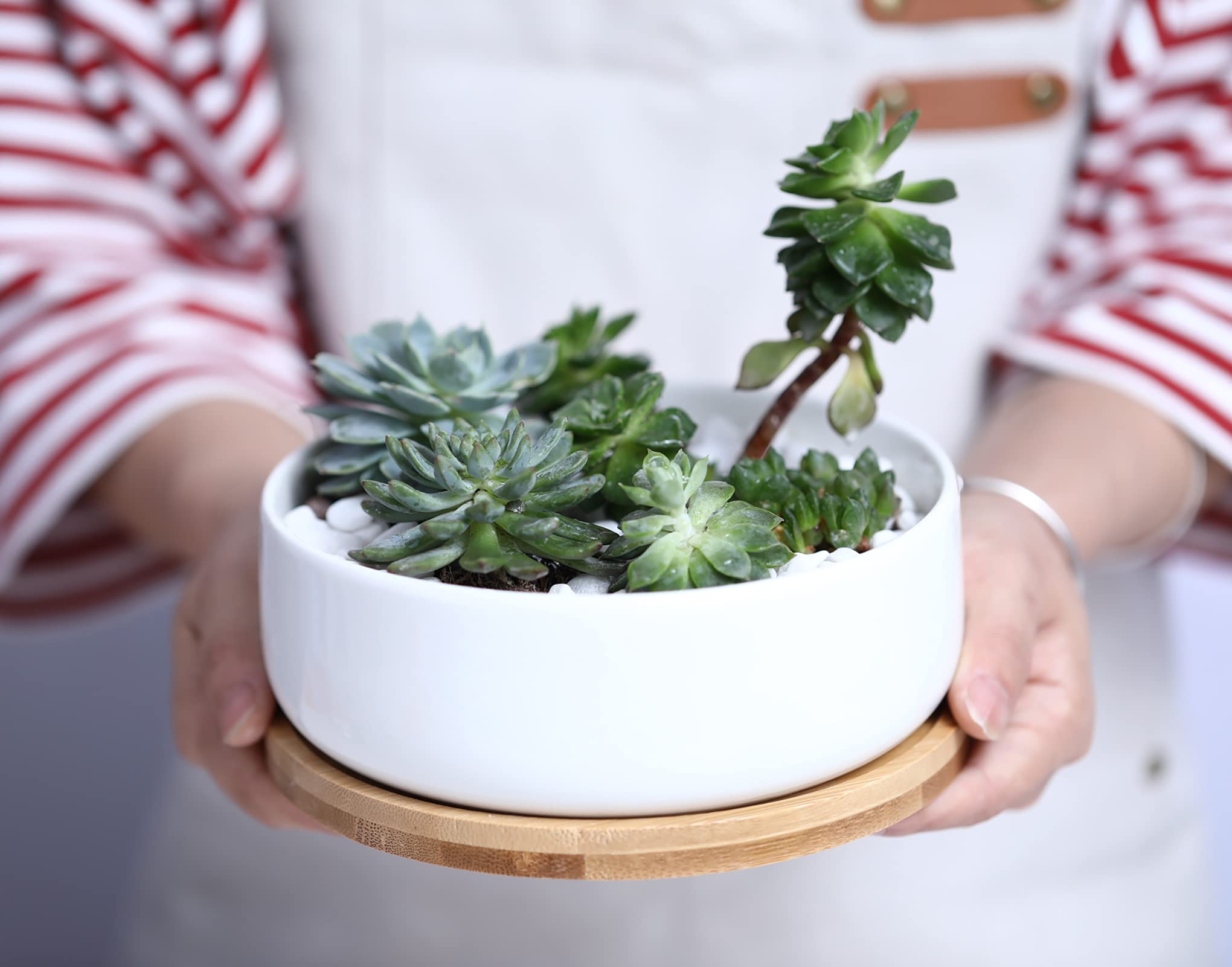 LANKER white planter on bamboo tray enhances porch or windowsill.