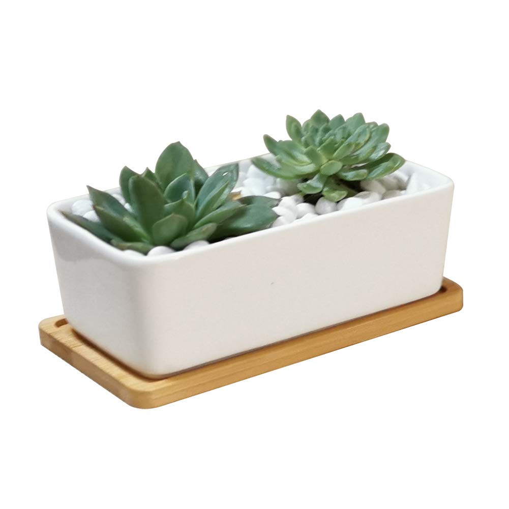 LANKER rectangle ceramic succulent planter with bamboo tray for a tidy desk display.