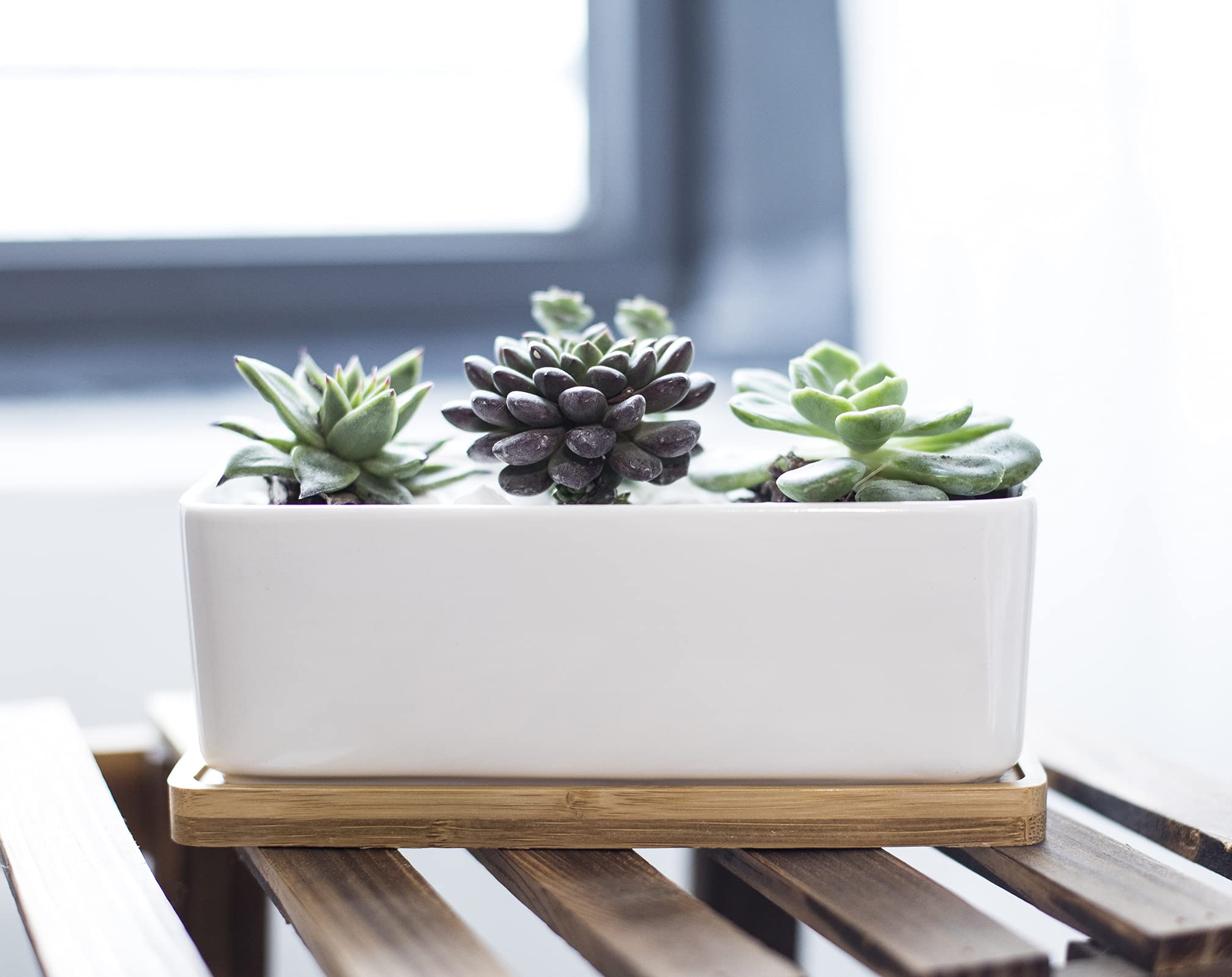 LANKER rectangle planter displays 2-3 small plants on a shelf.