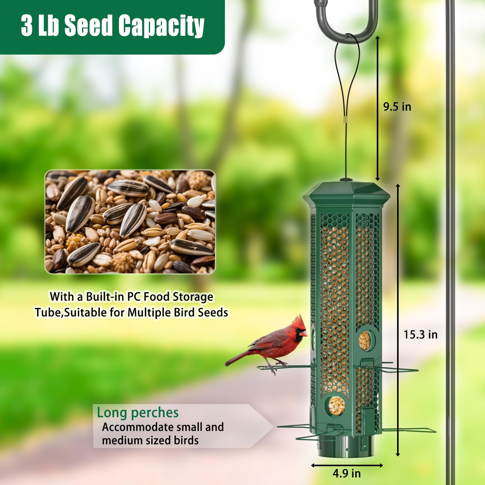 Lannso six-port perch area enables stable feeding for birds.