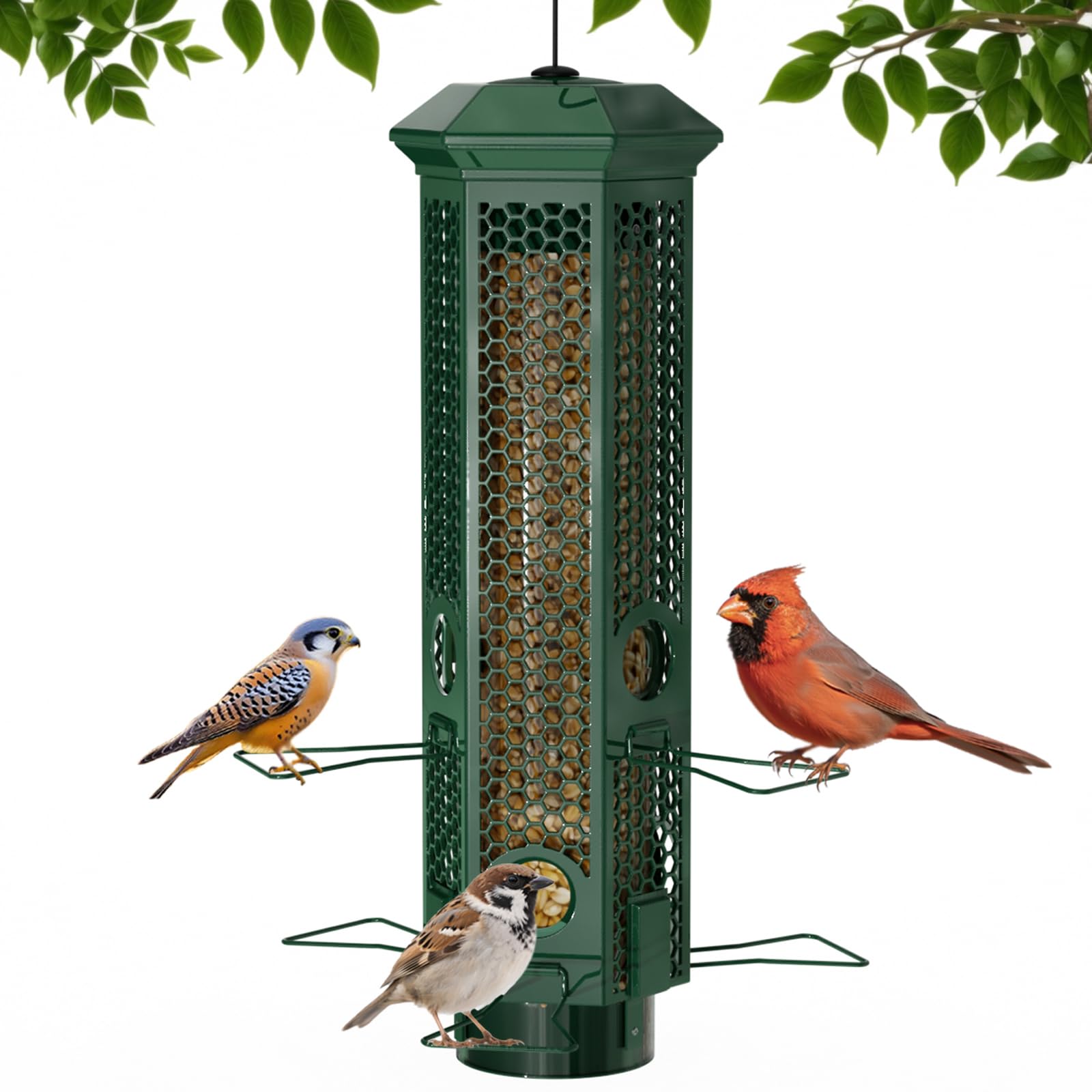 Lannso squirrel-proof bird feeder front view with six ports for multiple birds.