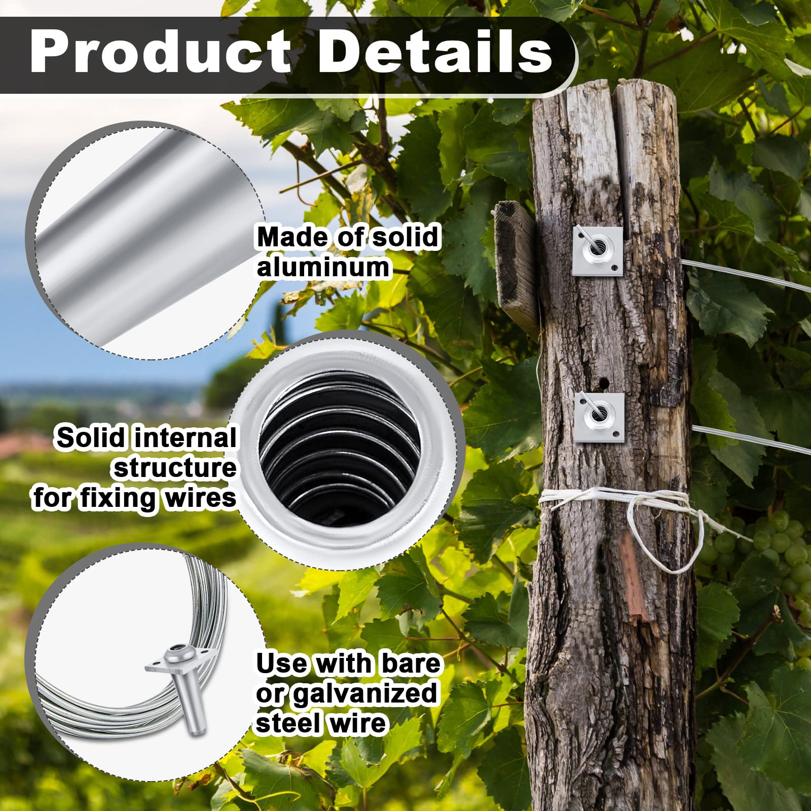 Lanties anchor wire vise in trellis setup demonstrating secure wire tightening