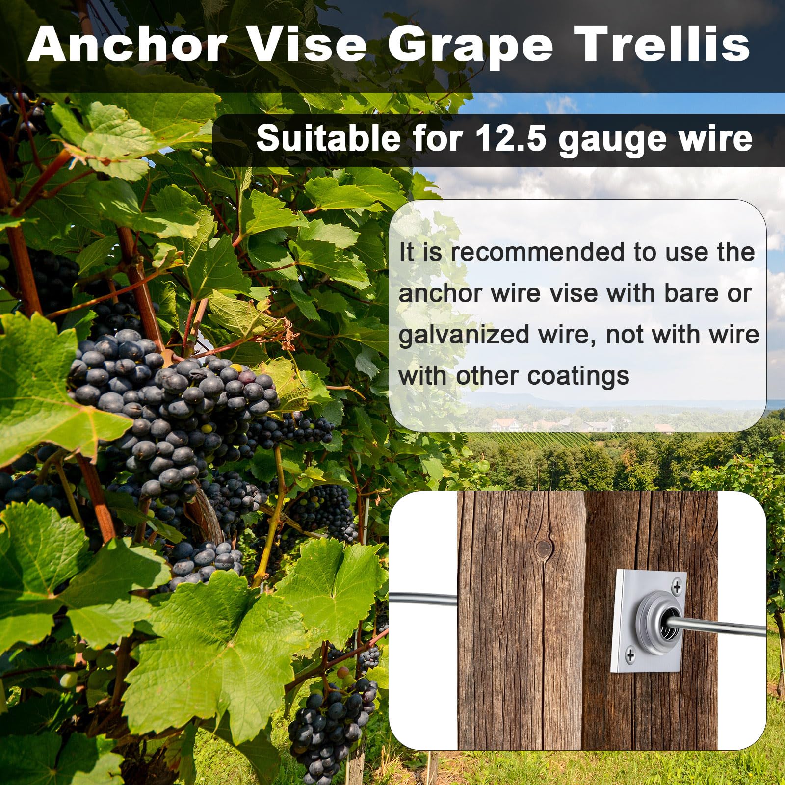 Lanties anchor wire vise in vineyard use with bare or galvanized wire