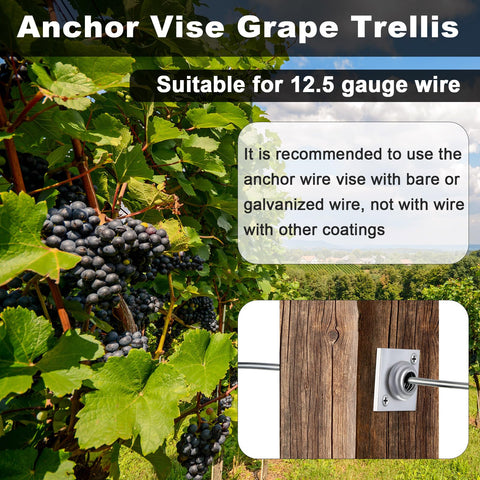 Lanties anchor wire vise in vineyard use with bare or galvanized wire