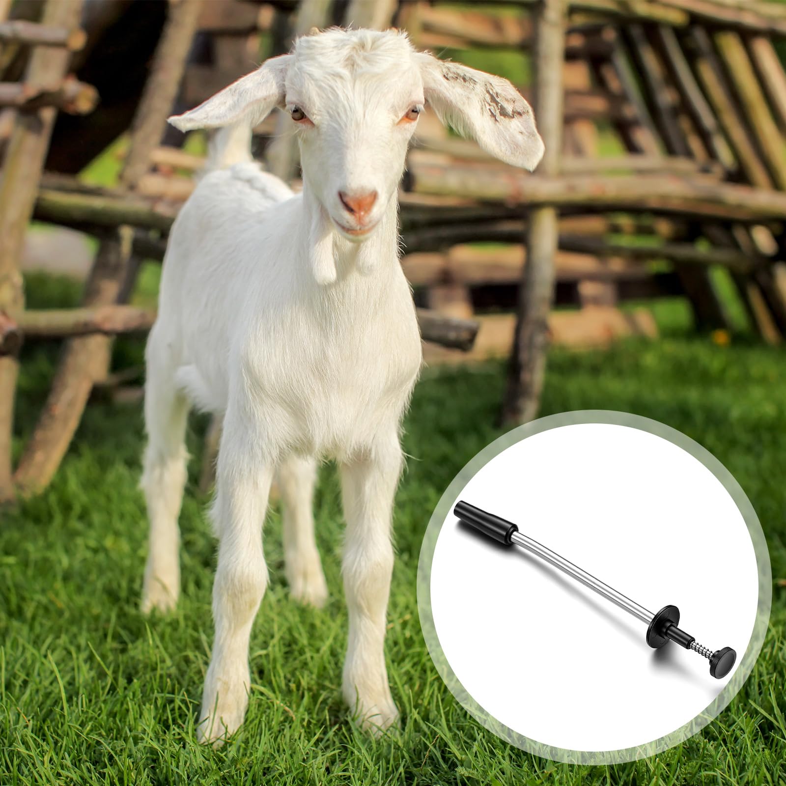Lanties curved bolus gun small-animal-use ideal for sheep and goats