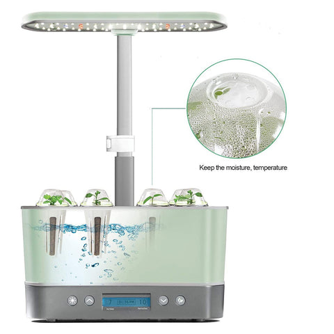 LANVRION clear humidity dome close-up protects seedlings during indoor germination.