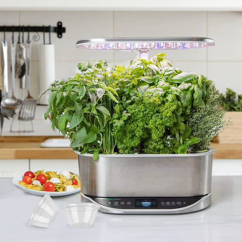 LANVRION 50-pack packaging enables starting many hydroponic seeds efficiently.