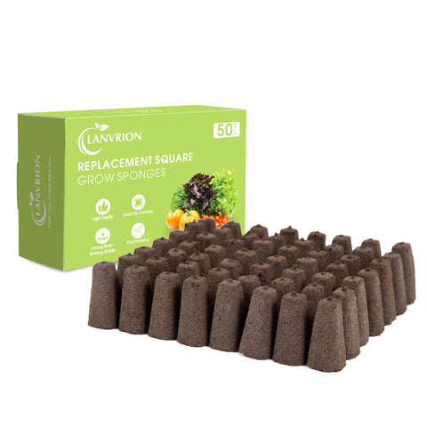 LANVRION grow sponges ready for germination in hydroponics.