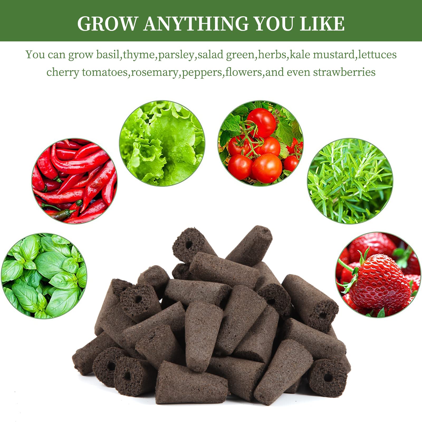 Indoor hydroponics setup showing soil-free seed growth with sponges.