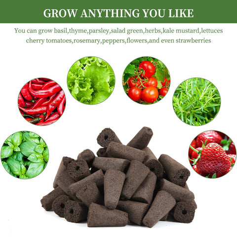 Indoor hydroponics setup showing soil-free seed growth with sponges.