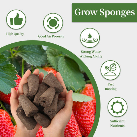 LANVRION seed pods fit square systems like QYO and LYKO.