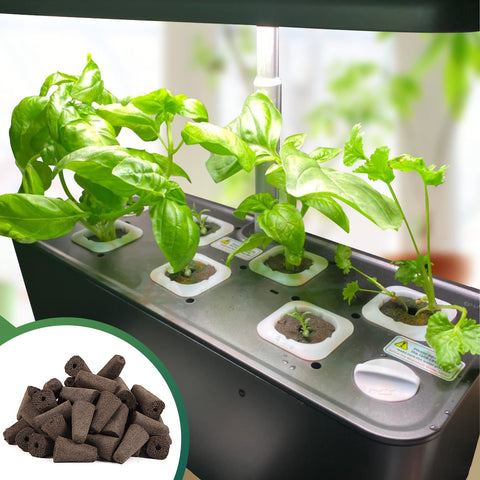 Grow strawberries, tomatoes, peppers and more with soil-free sponges.