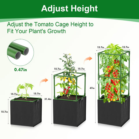 Laodier 17-gallon grow bags support root growth and soil stability.