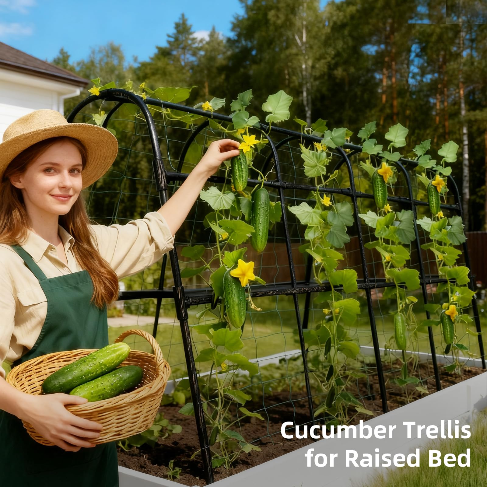 Laodier 63x30x47 inch trellis shown in raised bed context