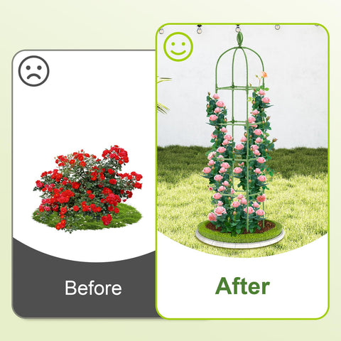 Laodier clematis grows upward along the vertical supports of the obelisk trellis.