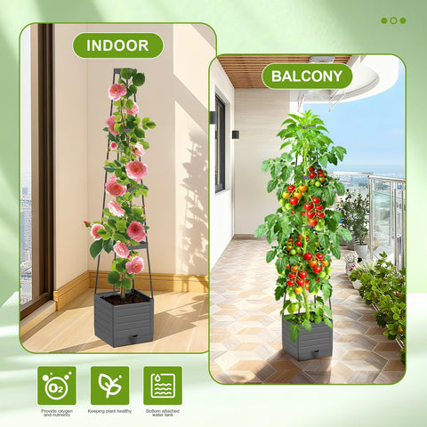 Laodier compact footprint saves space while maximizing vertical growth.
