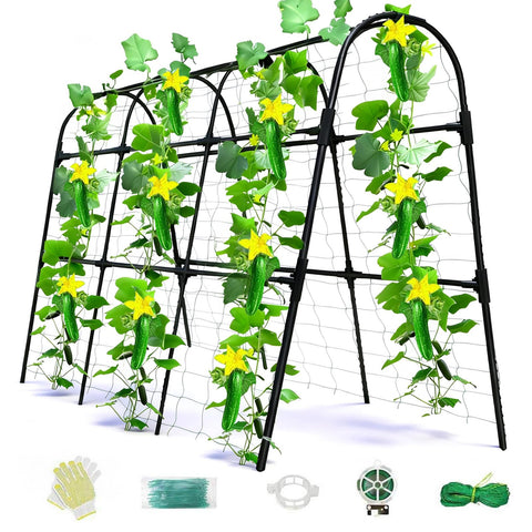 Laodier cucumber trellis arch in black supports climbing vines in a raised bed.