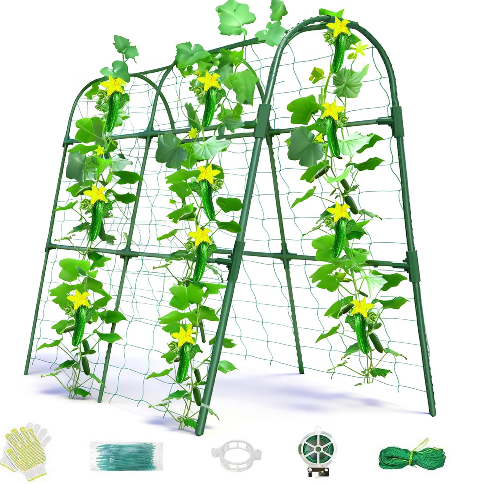 Laodier cucumber trellis with U-shape arch supports climbing vines in raised beds.