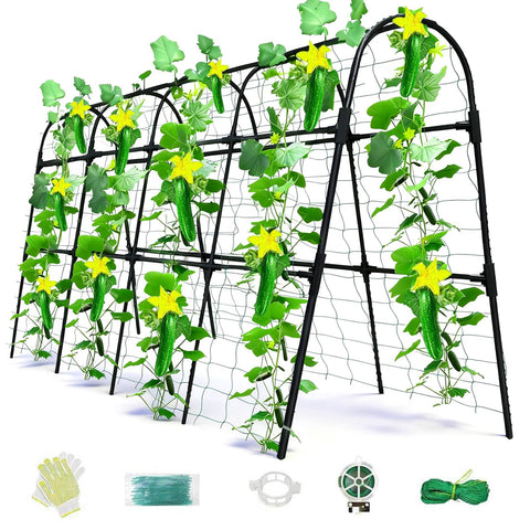 Laodier U-Shape cucumber trellis arch supports climbing cucumbers in raised beds