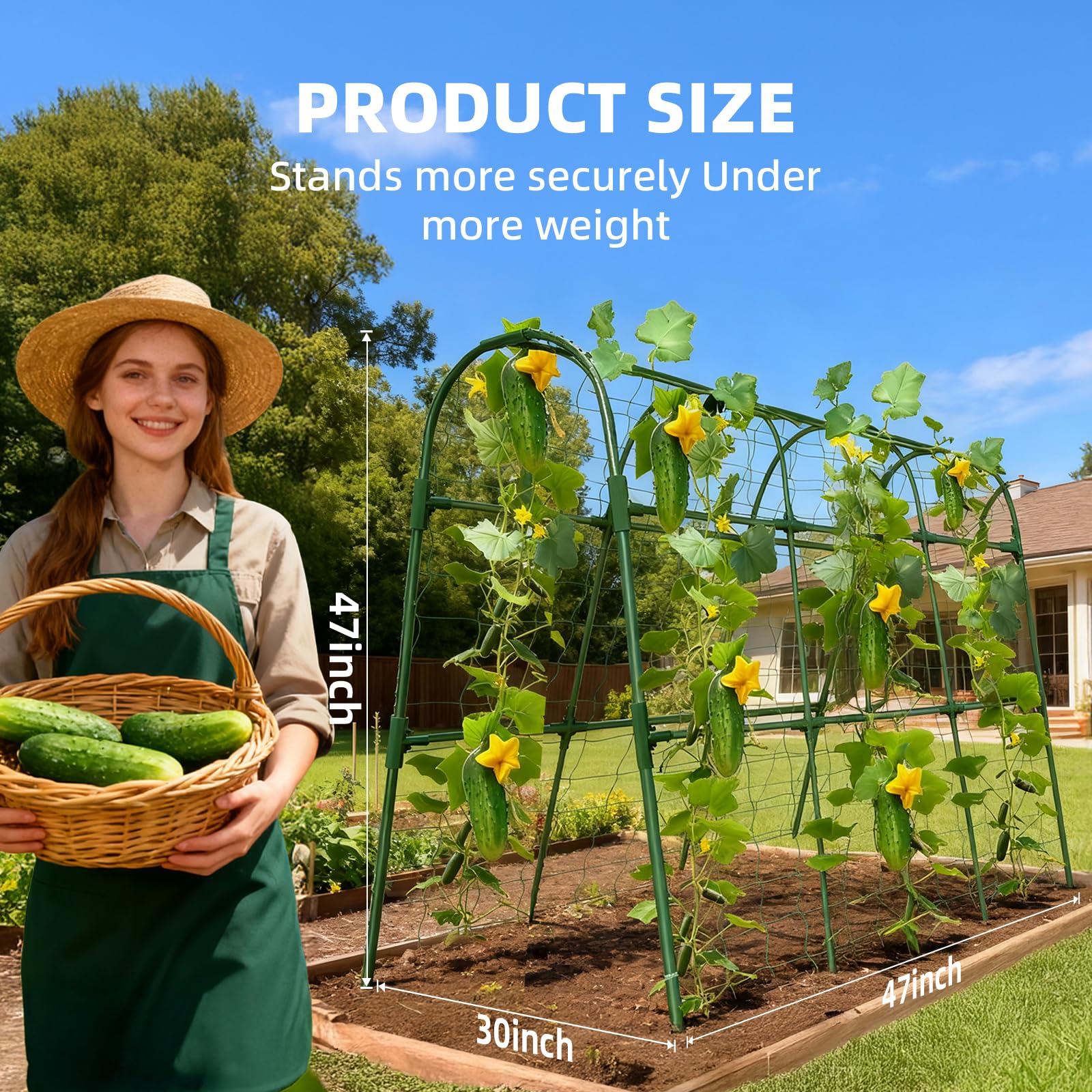 Laodier easy-assembly trellis with cross connectors simplifies setup