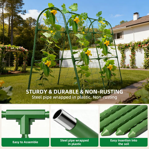 Laodier cross-shaped connectors enable quick, screw-free assembly.