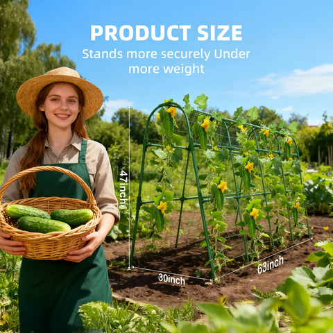 Laodier garden arch offers stable, space-saving support for vertical gardening.