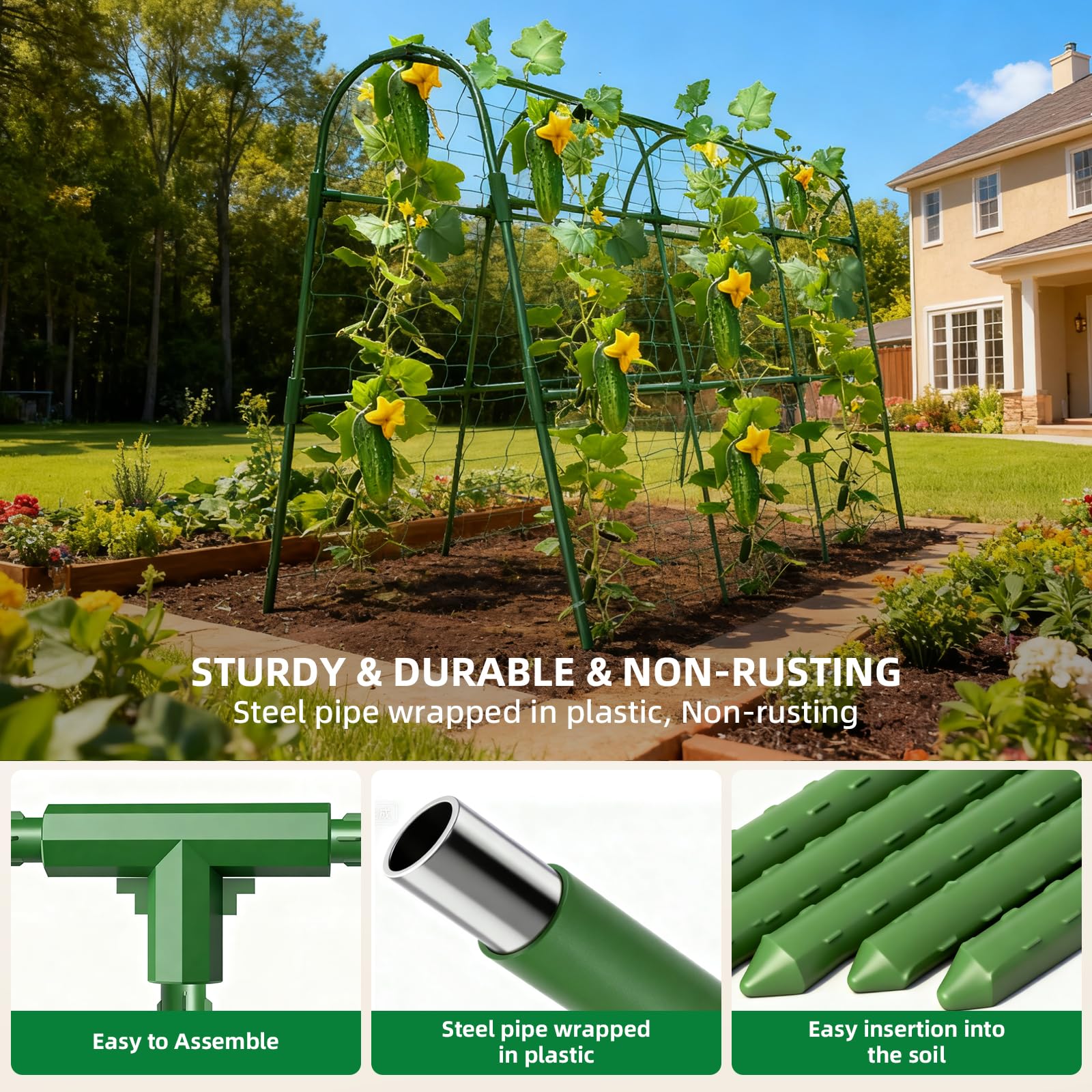 Laodier rustproof trellis helps protect plants from rust and weather exposure