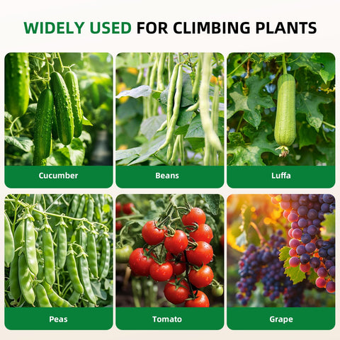 Laodier trellis netting provides a sturdy climbing framework