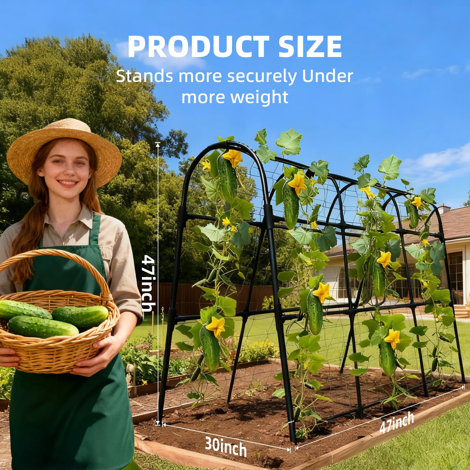 Laodier u shape trellis raises plants along both sides to save space.