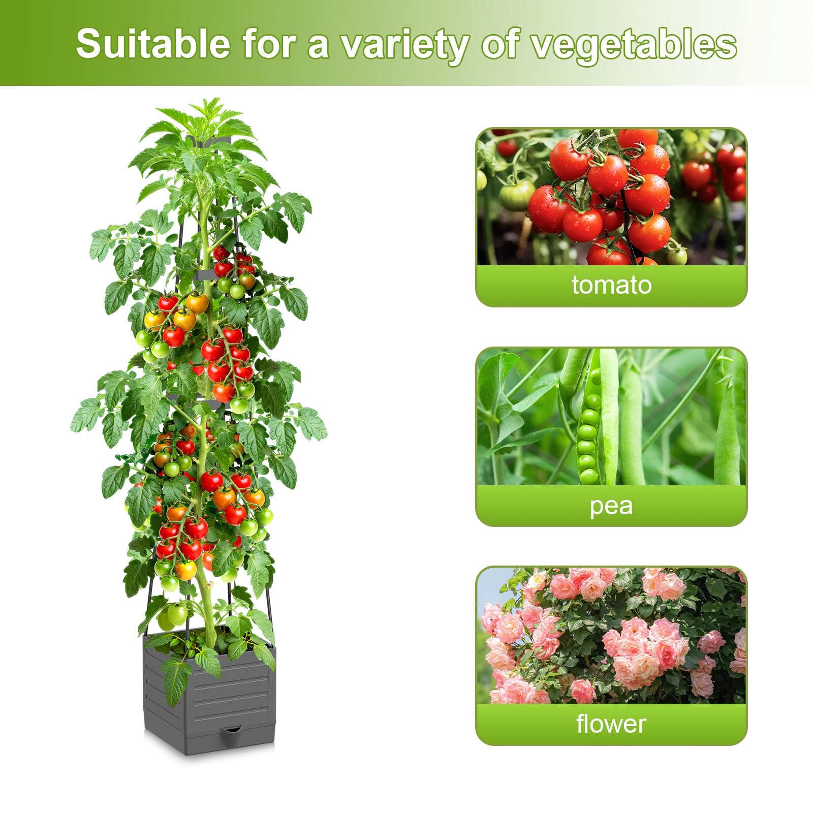 Laodier versatile planter for tomatoes, strawberries, and clematis.