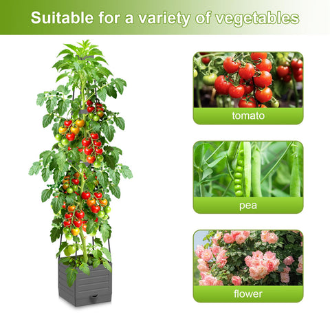 Laodier versatile planter for tomatoes, strawberries, and clematis.