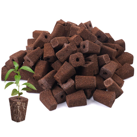 LAPOND 100pack grow sponges for efficient seed starting in hydroponics.