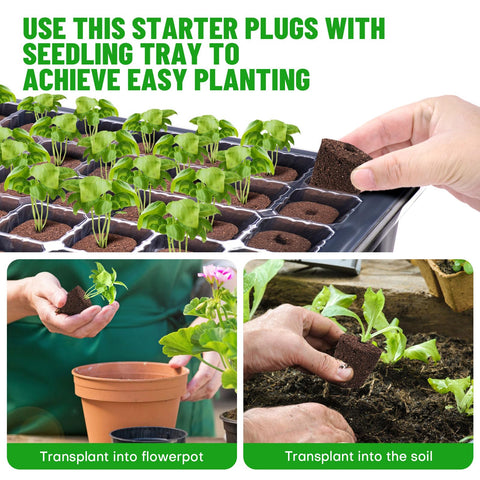 LAPOND seedling tray demonstrates easy transplantation of rooted sprouts into pots