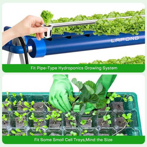 LAPOND germination-propagation sponges enable quick, clean indoor propagation.