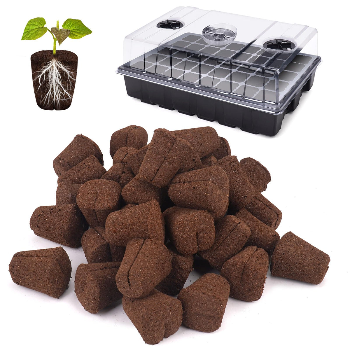 LAPOND grow sponges in tray ready for cuttings, promoting healthy early root growth.