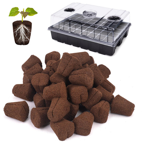 LAPOND grow sponges in tray ready for cuttings, promoting healthy early root growth.