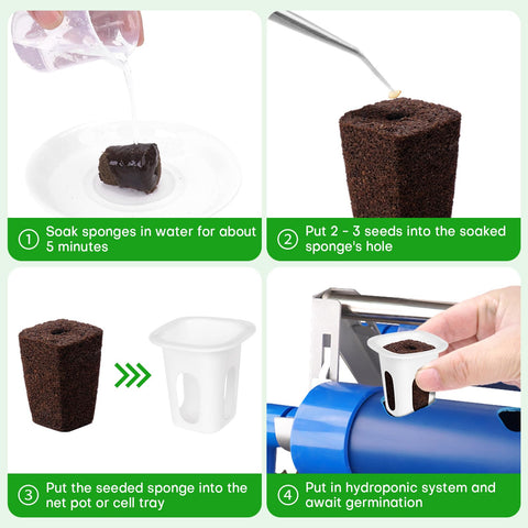 LAPOND indoor seed propagation sponges help maintain tidy, soil-less garden setups.