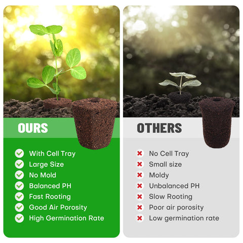 LAPOND premium Baltic peat moss media provides breathable, balanced growing medium
