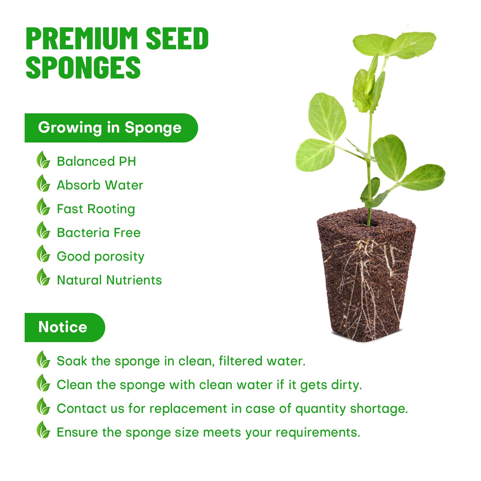 LAPOND replacement grow sponges 100pcs for multiple plant seedings.