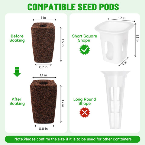 LAPOND seed starter plug made from peat supports strong root growth.