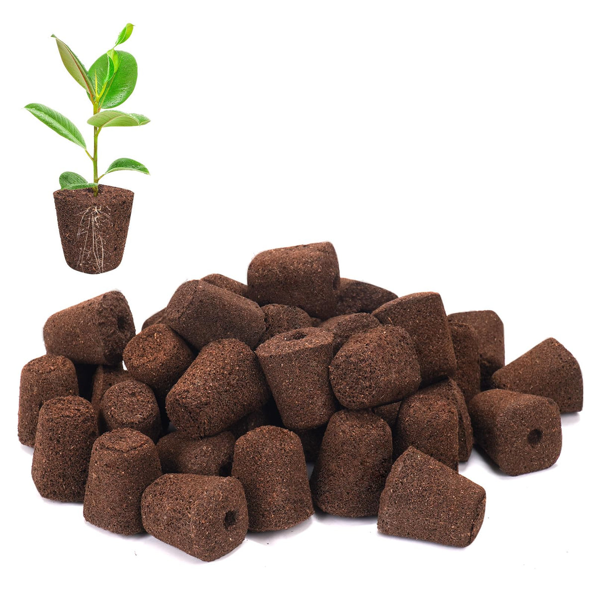 LAPOND seed starter plugs packaging highlights easy germination setup for home gardeners.